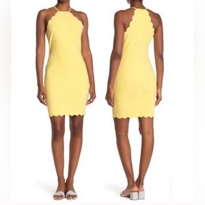 Likely Snapdragon Everly Sleeveless Scalloped Trim Dress Size 4